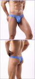 Bluesy Floozy Bikini Brief Underwear