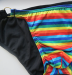 Fruit's Looped Pride Men's Bikini Underwear - CLEARANCE